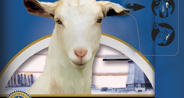 Nowość Goat Farm ser kozio-owczy w plastrach 100 g