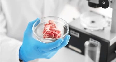 Jest zgoda na sprzedaż kurczaka hodowanego w laboratorium. LabFarm przyspiesza prace w Polsce