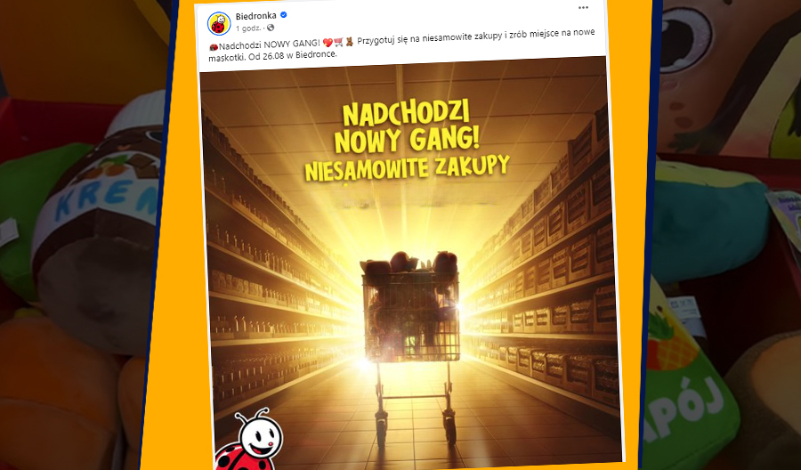 Biedronka – Nowy Gang 2024. Pluszaki Tafiły Do Sklepów